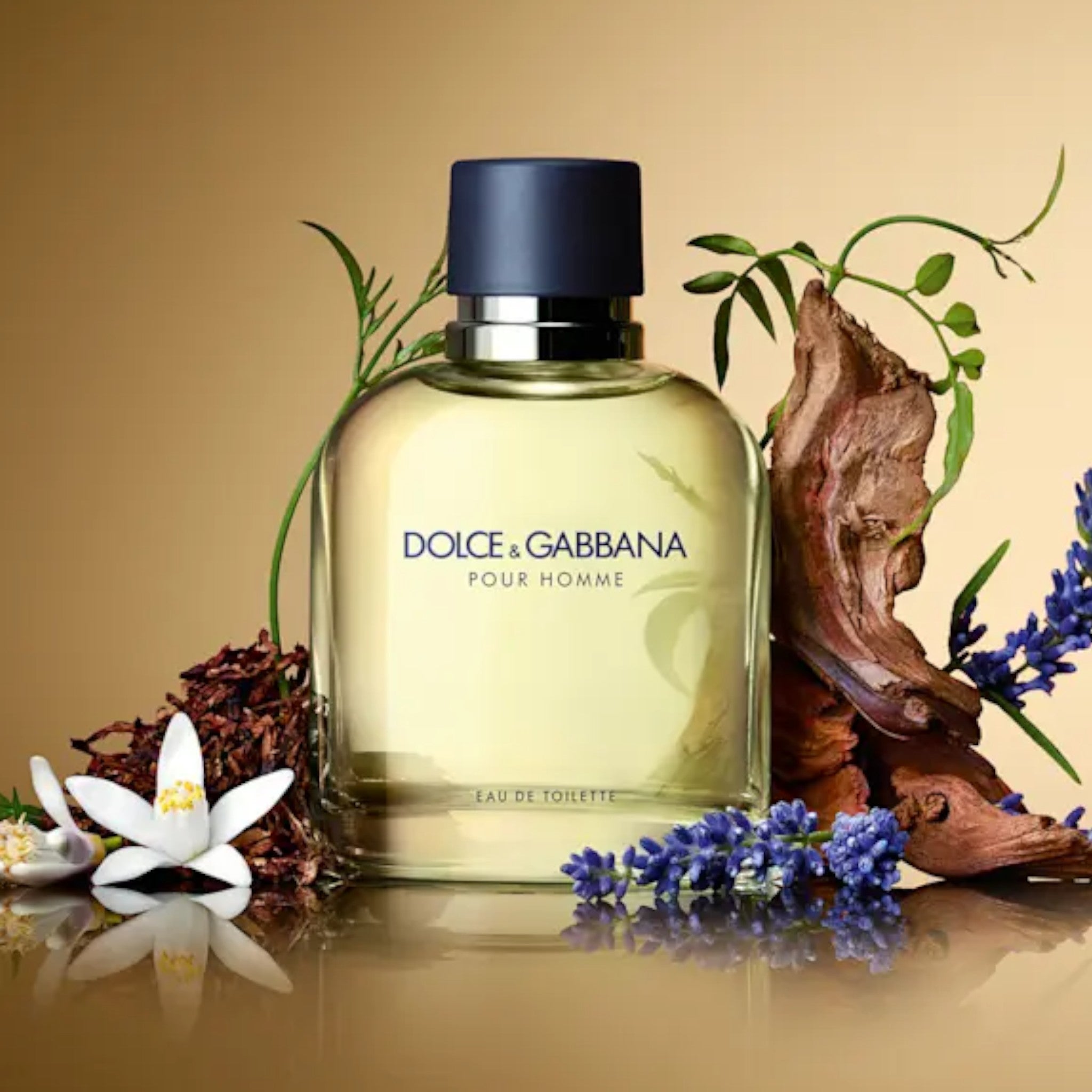Dolce & Gabbana Men's Pour Homme Eau de Toilette Spray – Bouchards