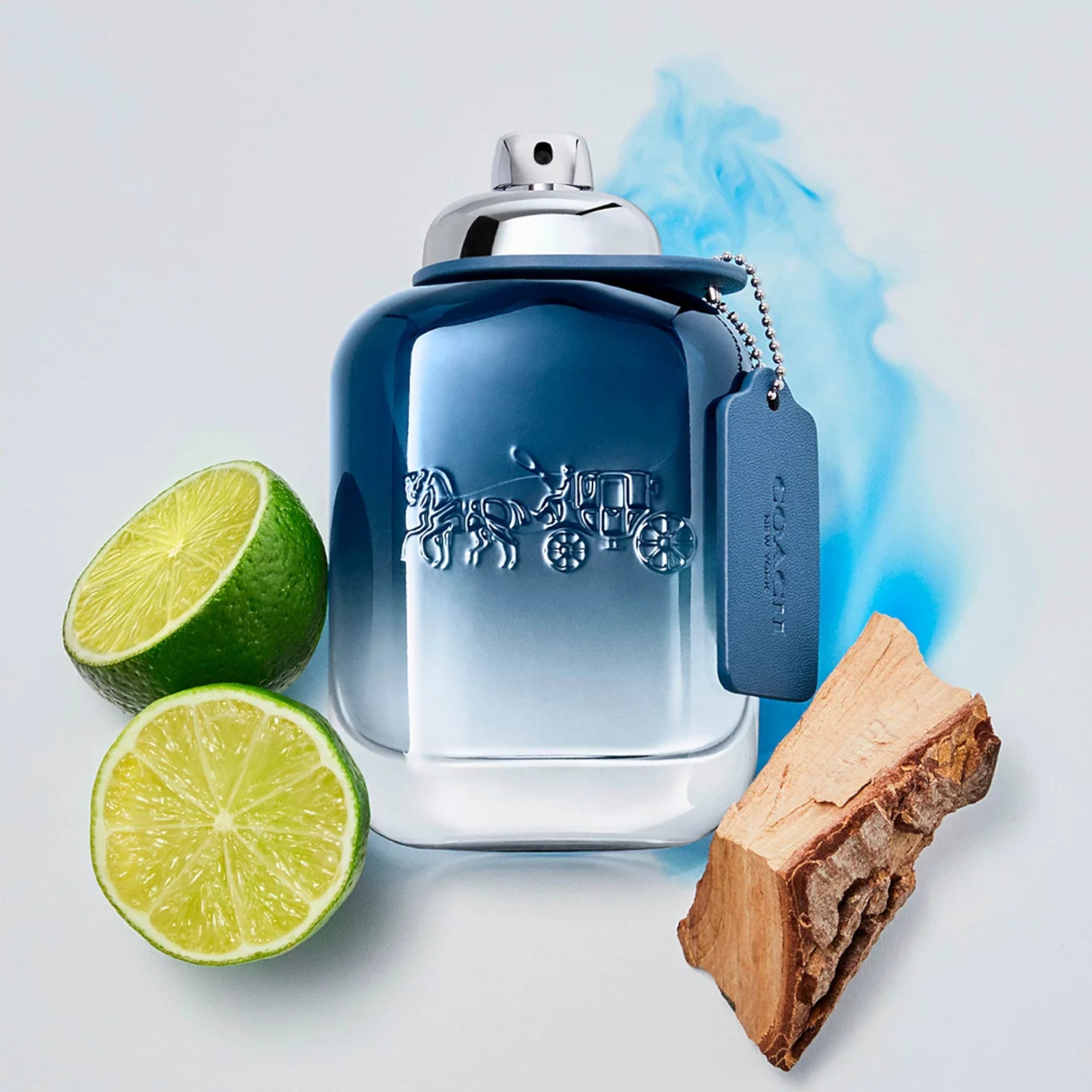 Coach Blue Eau De Toilette – Bouchards