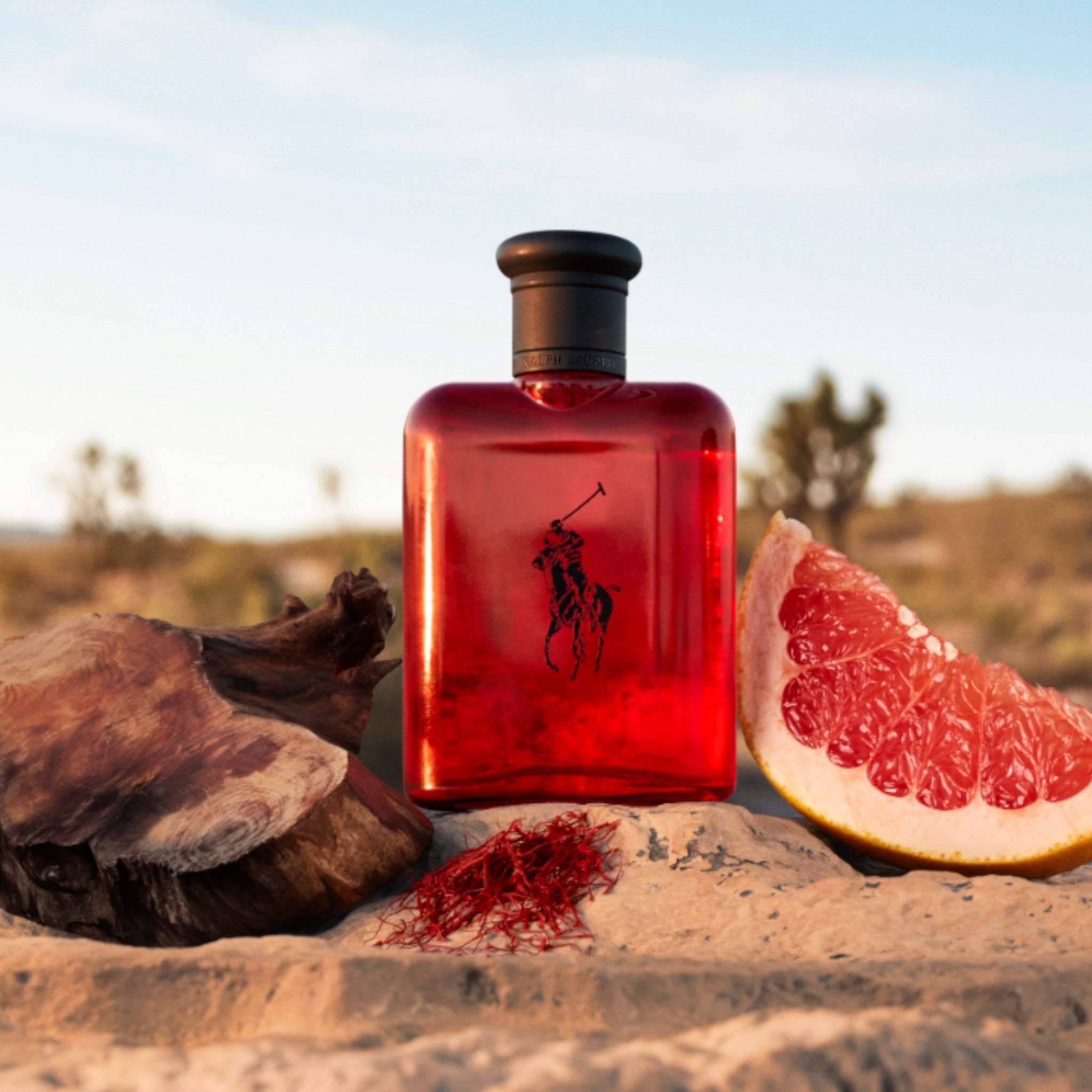 Polo Ralph Lauren Red Eau de Toilette – Bouchards