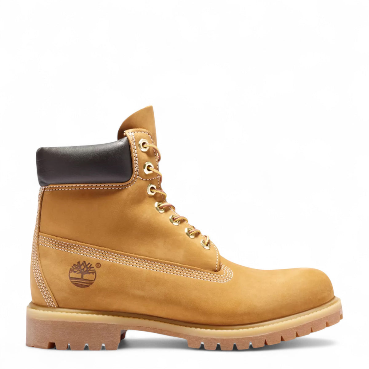 Timberlands Men’s Classic 10.5 Timberland Mens Mid Lace Up Waterproof GTX Field Boot  main image 4