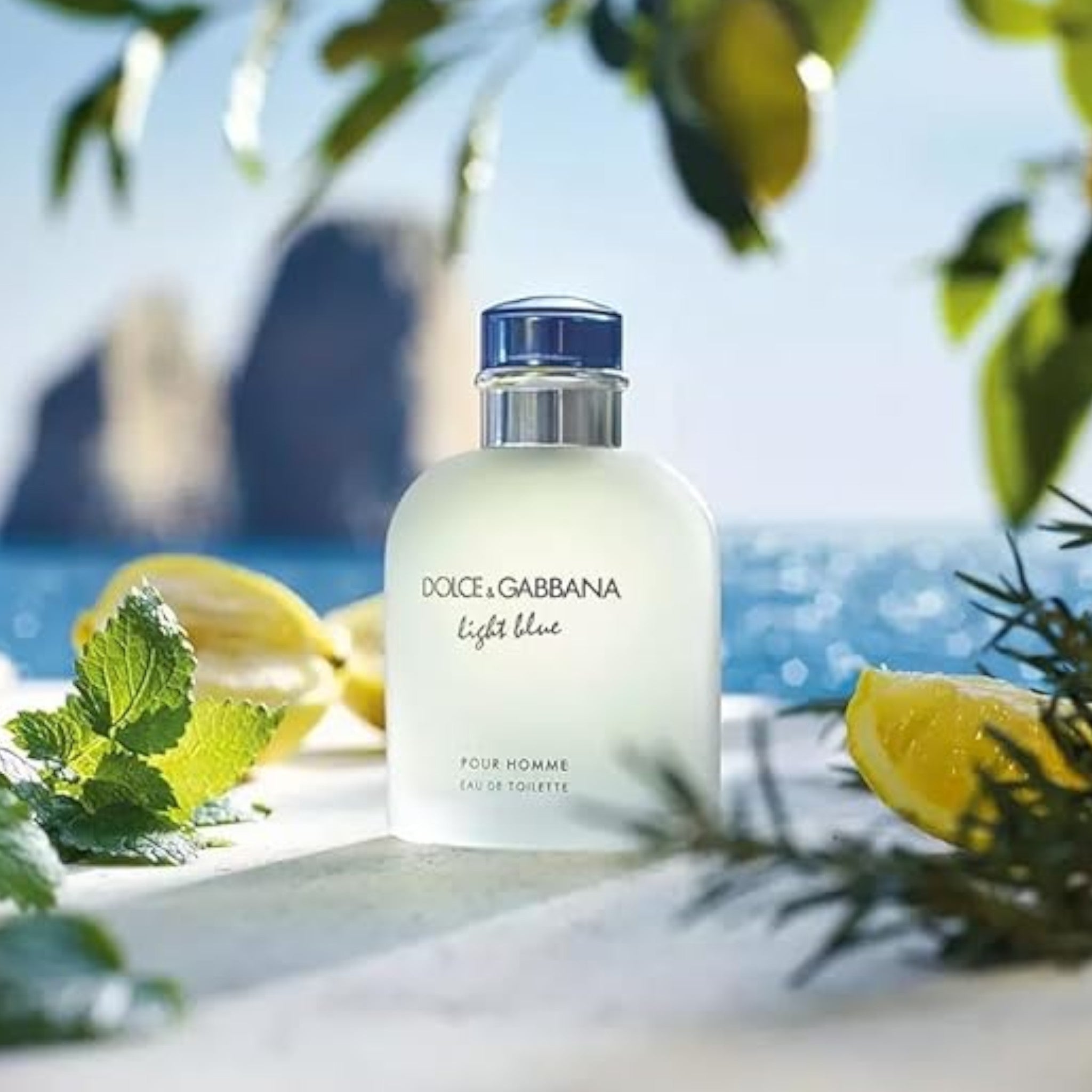 Dolce & Gabbana Light Blue Pour Homme Eau de Toilette – Bouchards